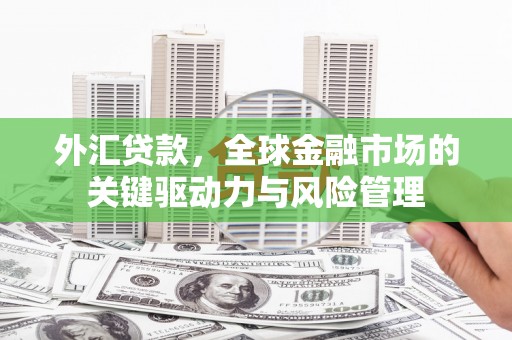 山海关外汇贷款，全球金融市场的关键驱动力与风险管理