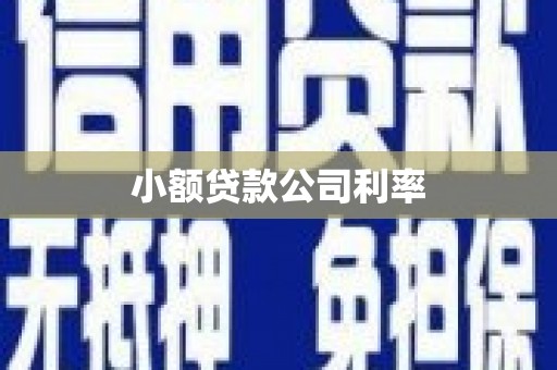 山海关小额贷款公司利率