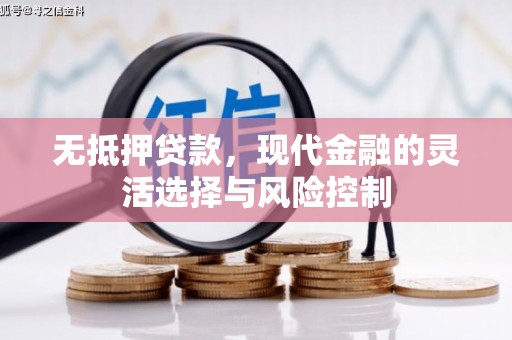 山海关无抵押贷款，现代金融的灵活选择与风险控制