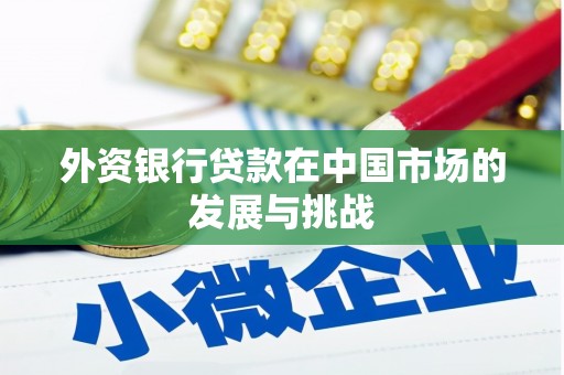 山海关外资银行贷款在中国市场的发展与挑战
