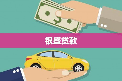 山海关银盛贷款