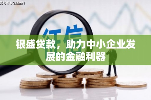 山海关银盛贷款，助力中小企业发展的金融利器