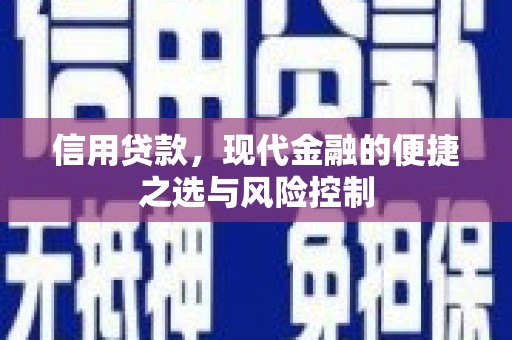 山海关信用贷款，现代金融的便捷之选与风险控制
