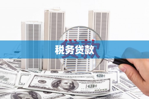 山海关税务贷款