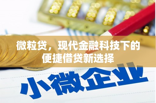 山海关微粒贷，现代金融科技下的便捷借贷新选择
