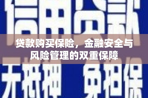 山海关贷款购买保险，金融安全与风险管理的双重保障