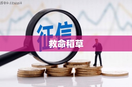 山海关救命稻草