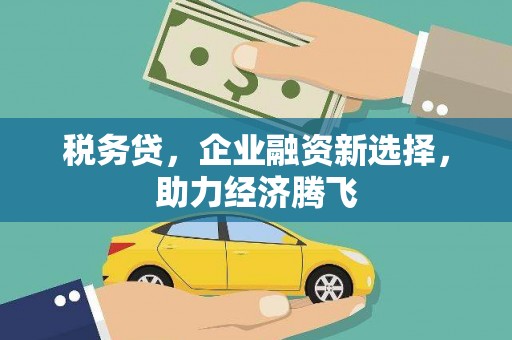 山海关税务贷，企业融资新选择，助力经济腾飞