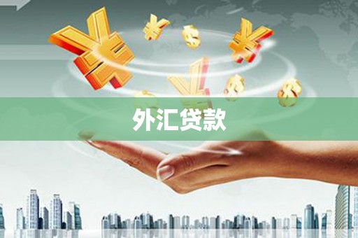 山海关外汇贷款