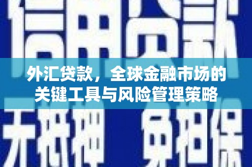 山海关外汇贷款，全球金融市场的关键工具与风险管理策略