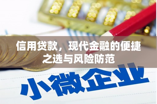 山海关信用贷款，现代金融的便捷之选与风险防范