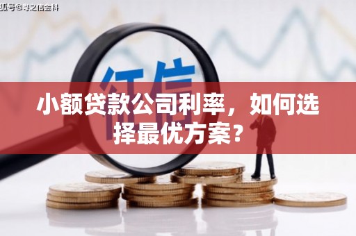 山海关小额贷款公司利率，如何选择最优方案？