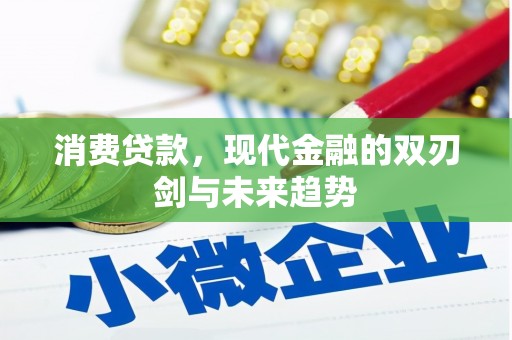 山海关消费贷款，现代金融的双刃剑与未来趋势