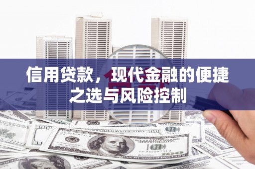 山海关信用贷款，现代金融的便捷之选与风险控制