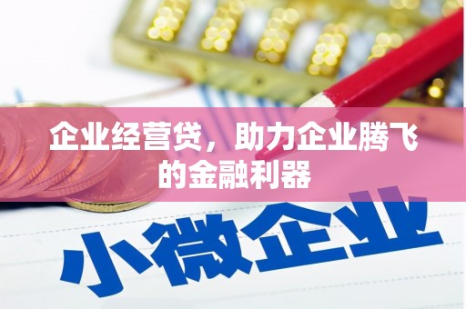 山海关企业经营贷，助力企业腾飞的金融利器