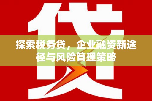 山海关探索税务贷，企业融资新途径与风险管理策略