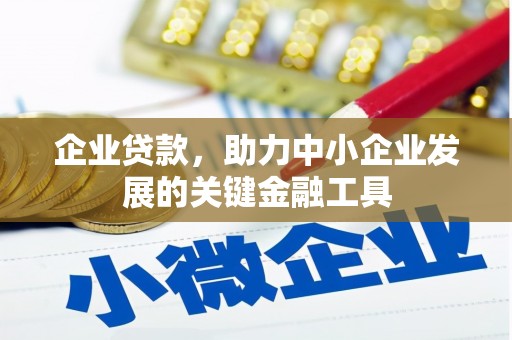 山海关企业贷款，助力中小企业发展的关键金融工具