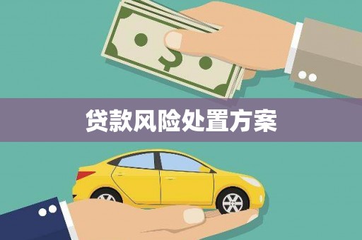 山海关贷款风险处置方案