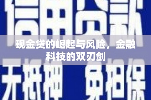 山海关现金贷的崛起与风险，金融科技的双刃剑