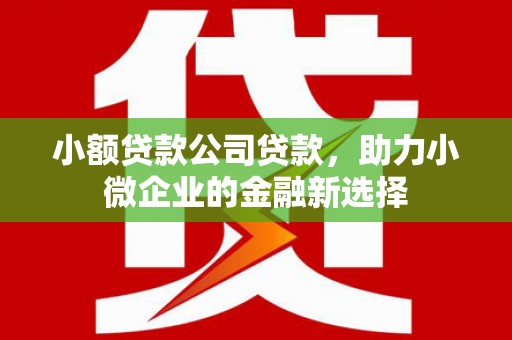 山海关小额贷款公司贷款，助力小微企业的金融新选择