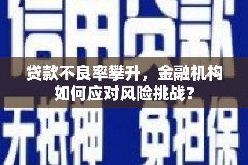 山海关贷款不良率攀升，金融机构如何应对风险挑战？