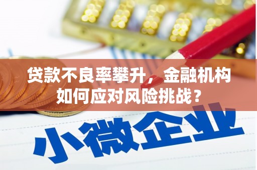 山海关贷款不良率攀升，金融机构如何应对风险挑战？