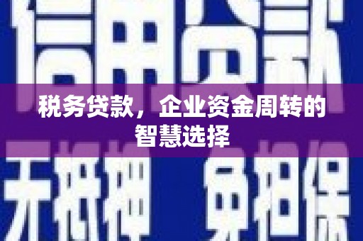 山海关税务贷款，企业资金周转的智慧选择