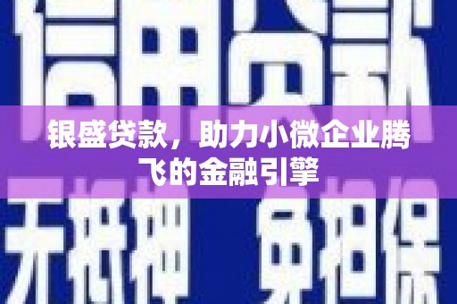 山海关银盛贷款，助力小微企业腾飞的金融引擎