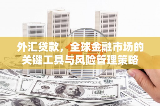 山海关外汇贷款，全球金融市场的关键工具与风险管理策略