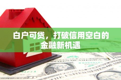 山海关白户可贷，打破信用空白的金融新机遇