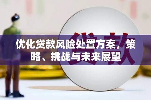 山海关优化贷款风险处置方案，策略、挑战与未来展望