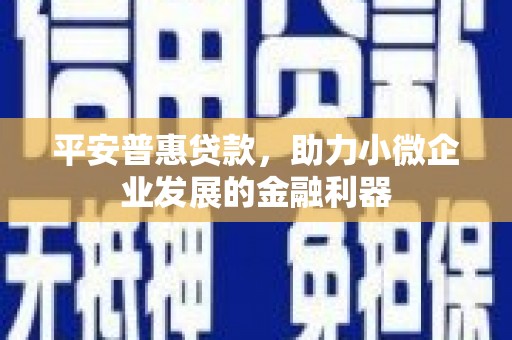 山海关平安普惠贷款，助力小微企业发展的金融利器