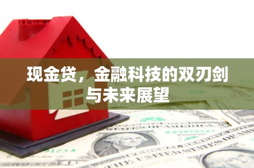 山海关现金贷，金融科技的双刃剑与未来展望