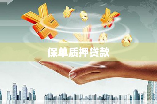 山海关保单质押贷款