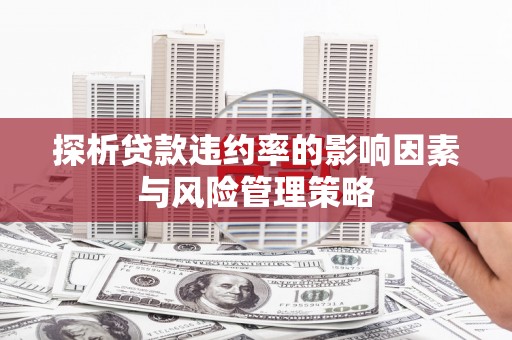 山海关探析贷款违约率的影响因素与风险管理策略