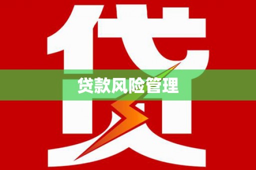 山海关贷款风险管理