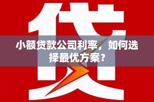 山海关小额贷款公司利率，如何选择最优方案？