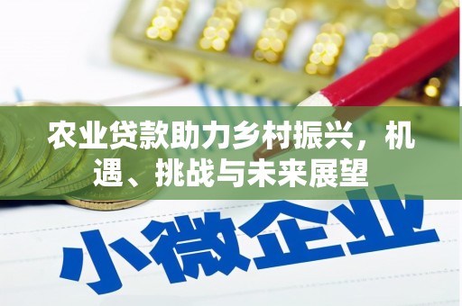 山海关农业贷款助力乡村振兴，机遇、挑战与未来展望