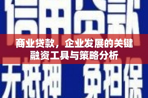 山海关商业贷款，企业发展的关键融资工具与策略分析