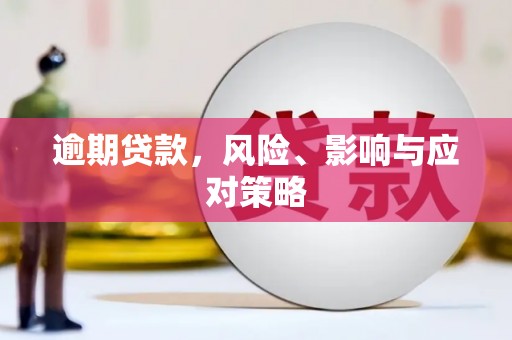 山海关逾期贷款，风险、影响与应对策略