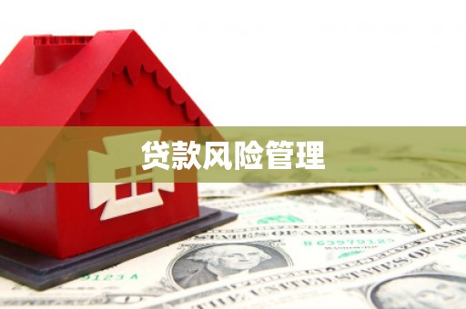 山海关贷款风险管理