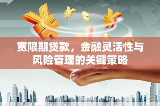 山海关宽限期贷款，金融灵活性与风险管理的关键策略