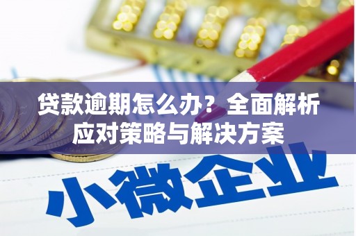山海关贷款逾期怎么办？全面解析应对策略与解决方案
