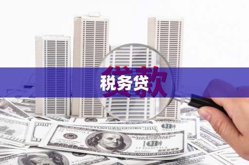 山海关税务贷