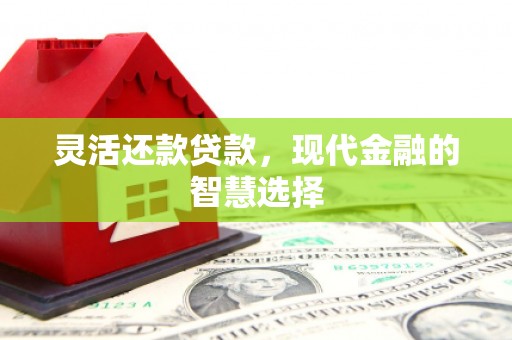 山海关灵活还款贷款，现代金融的智慧选择