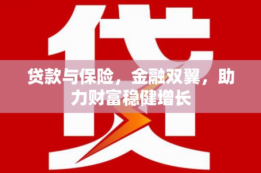 山海关贷款与保险，金融双翼，助力财富稳健增长