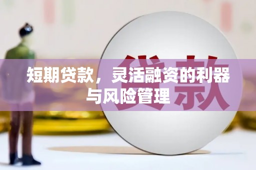 山海关短期贷款，灵活融资的利器与风险管理