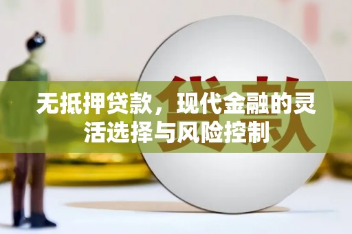 山海关无抵押贷款，现代金融的灵活选择与风险控制