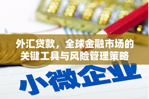 山海关外汇贷款，全球金融市场的关键工具与风险管理策略