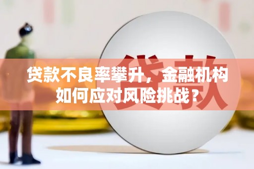 山海关贷款不良率攀升，金融机构如何应对风险挑战？